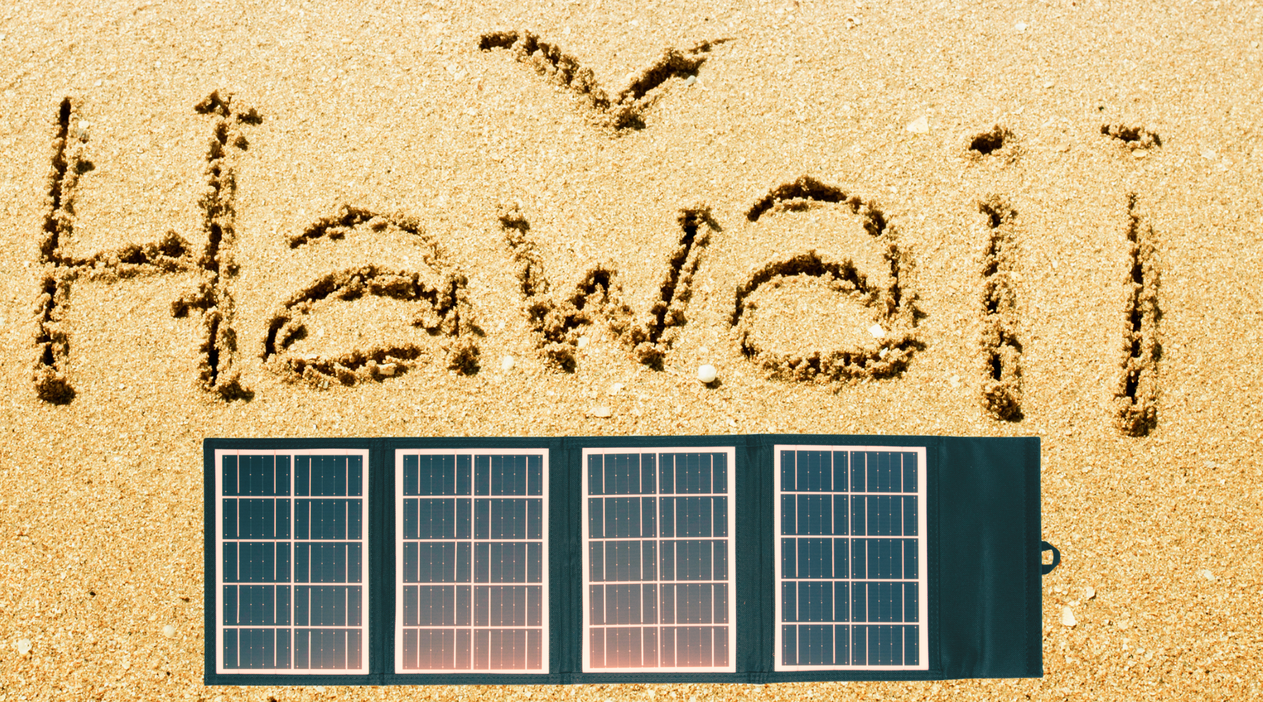 May's Brightest Updates from The Light Providers