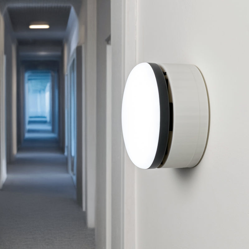 White wall mount showcased on a wall in a hallway