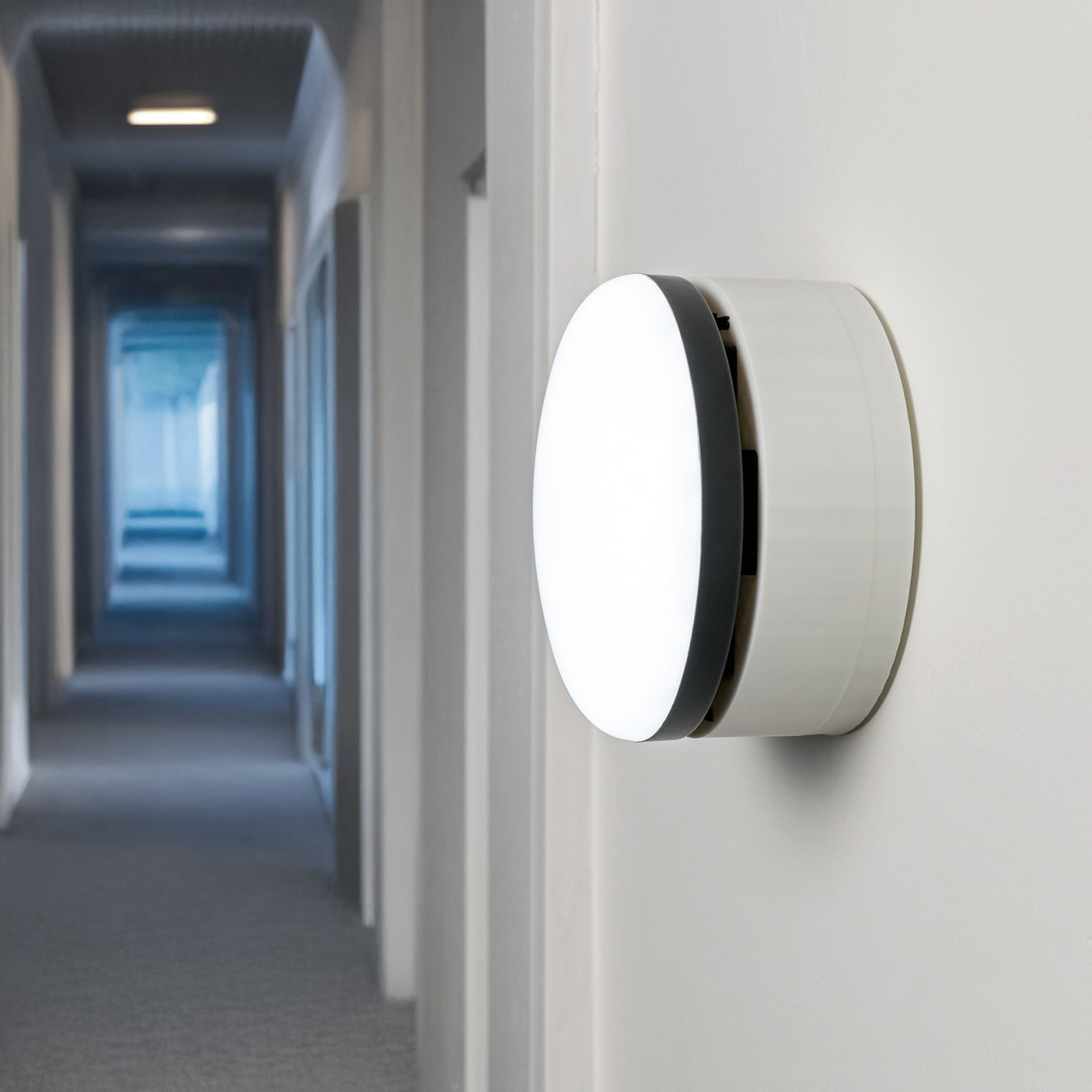 White wall mount showcased on a wall in a hallway