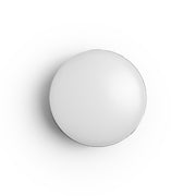 LED wireless light front view